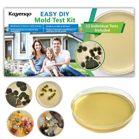 How to Test Indoor Air Quality for Mold: A Comprehensive Guide.